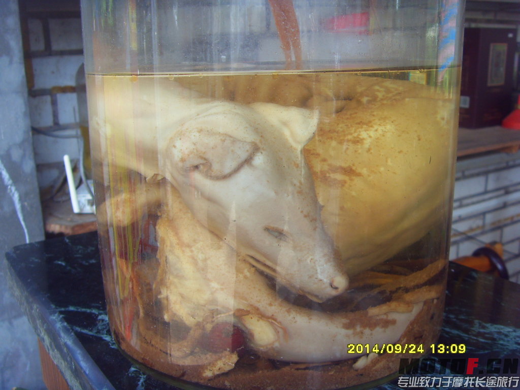 SDC14791.JPG