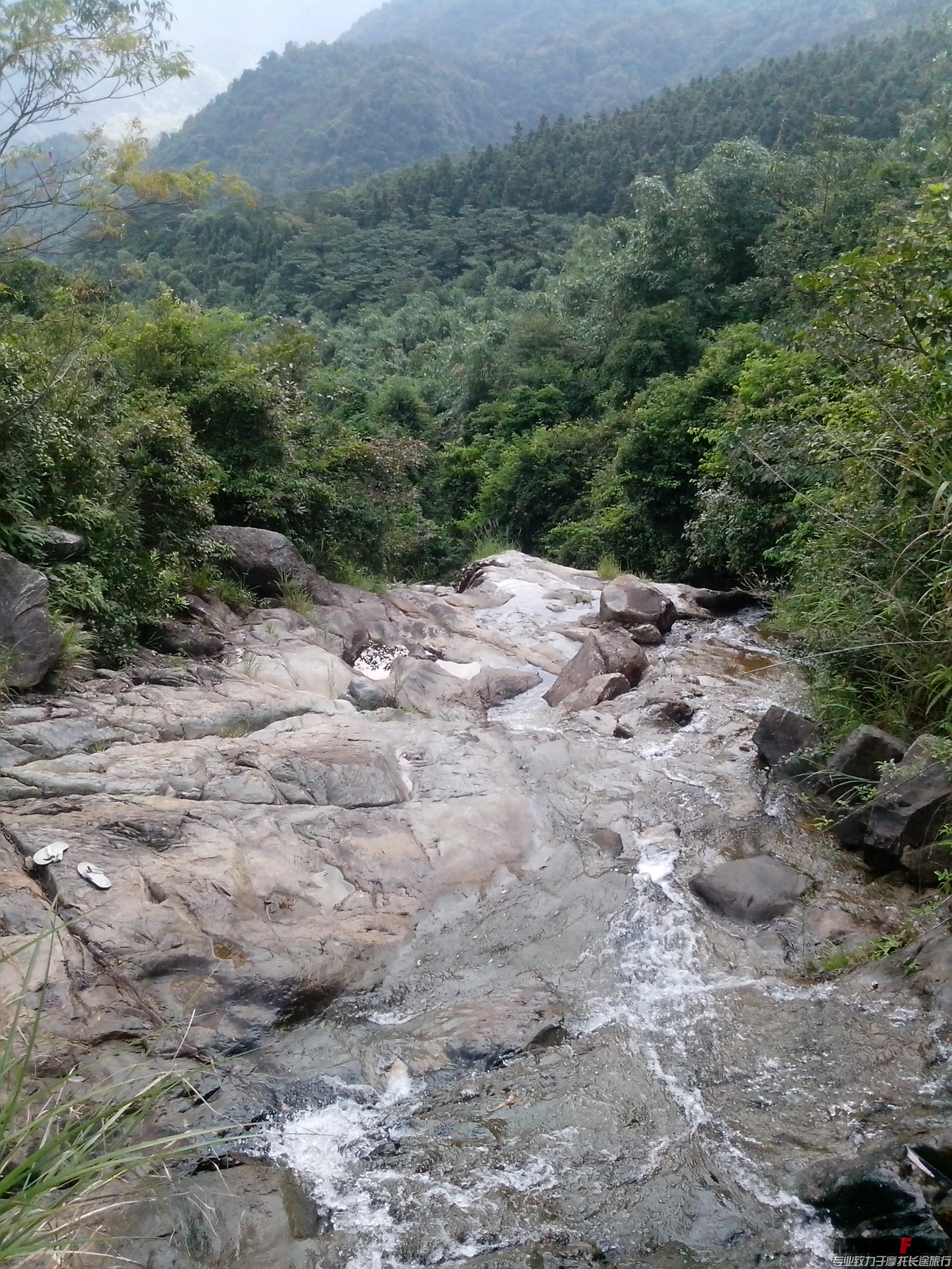 IMG_20140928_133438.jpg