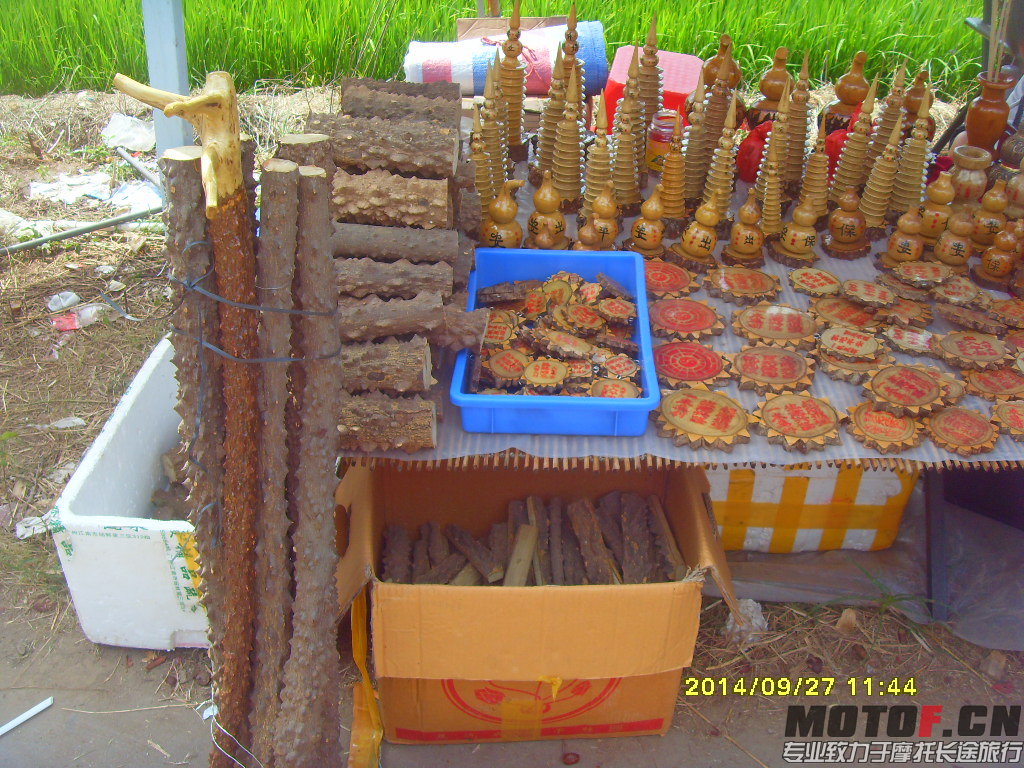 SDC14875.JPG