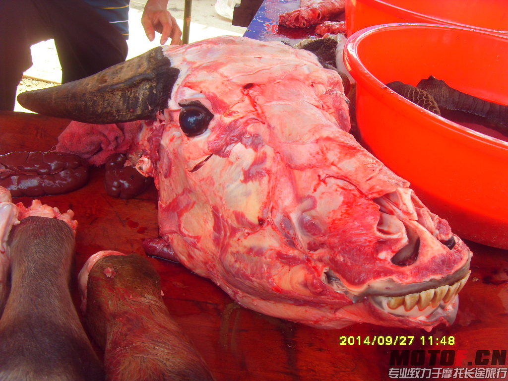 SDC14879.JPG