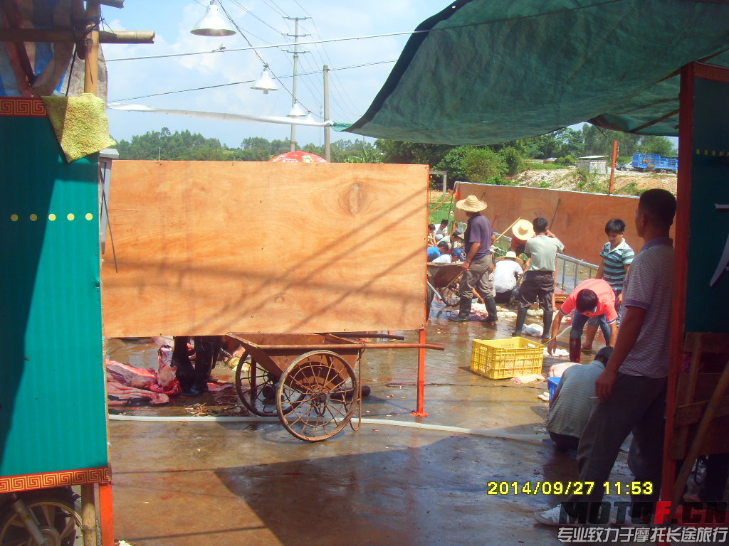 SDC14882.JPG