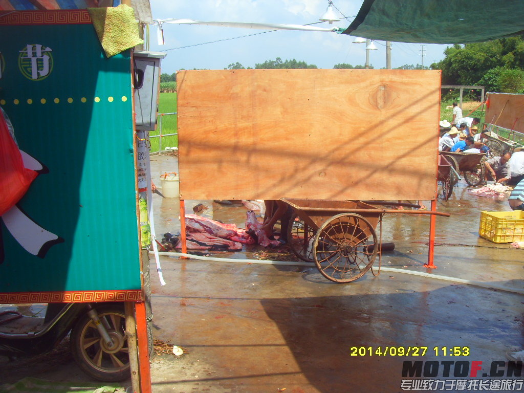 SDC14883.JPG