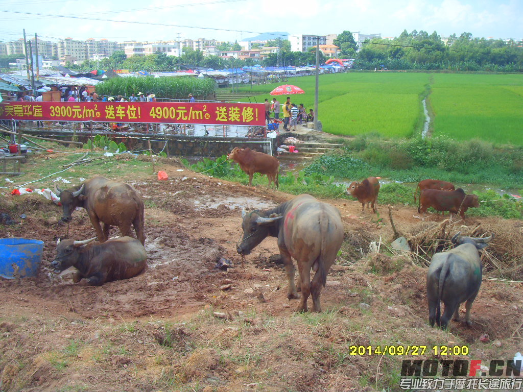 SDC14886.JPG