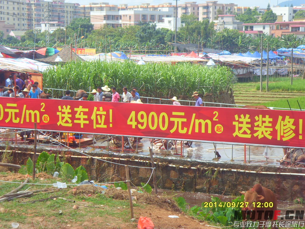 SDC14890.JPG