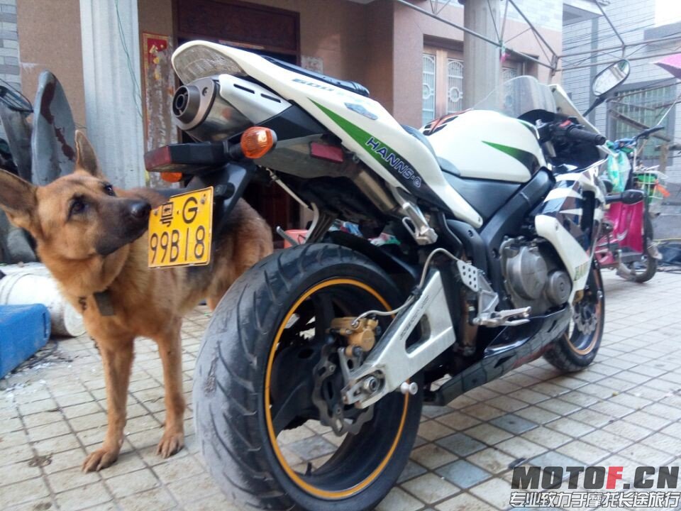 QQ图片20140929202912.jpg