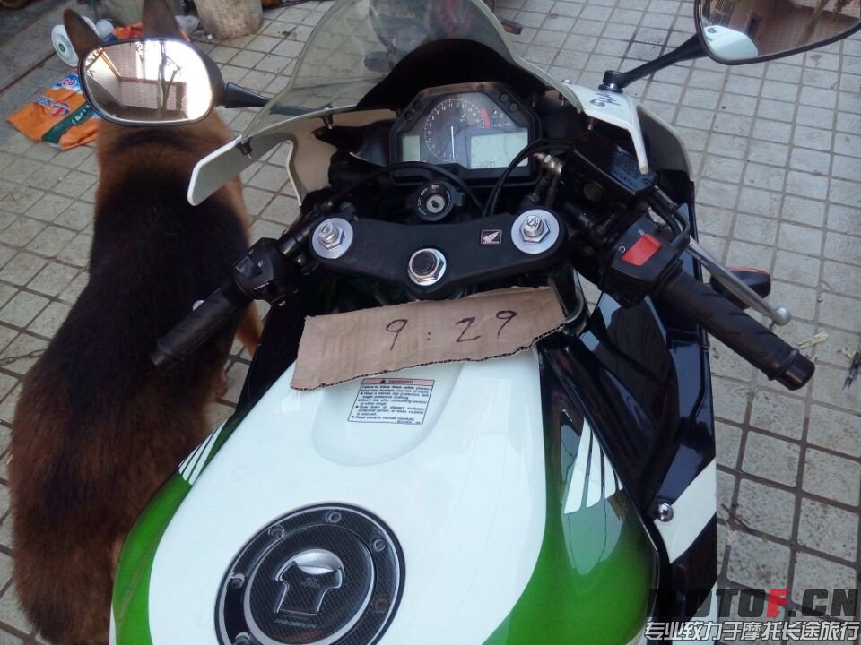 QQ图片20140929202924.jpg