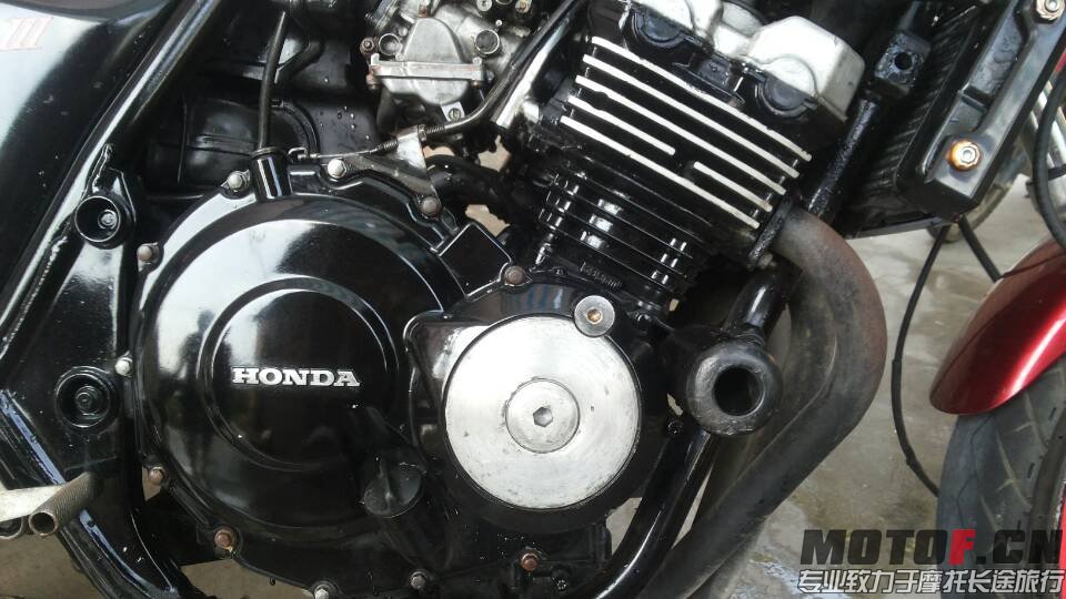 2CAFD5E9F02A119D81620093CA149494.jpg
