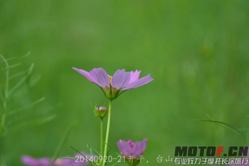 DSC_0271.jpg