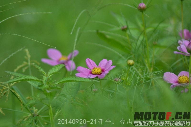 DSC_0269.jpg
