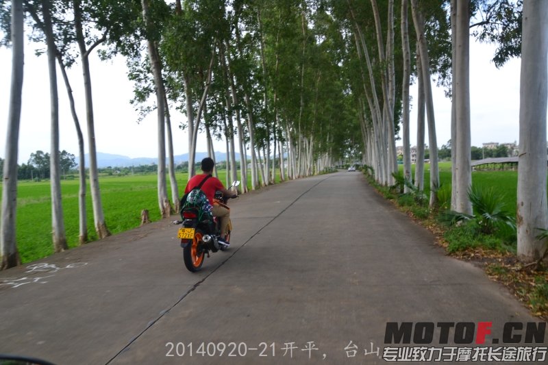 DSC_0298.jpg
