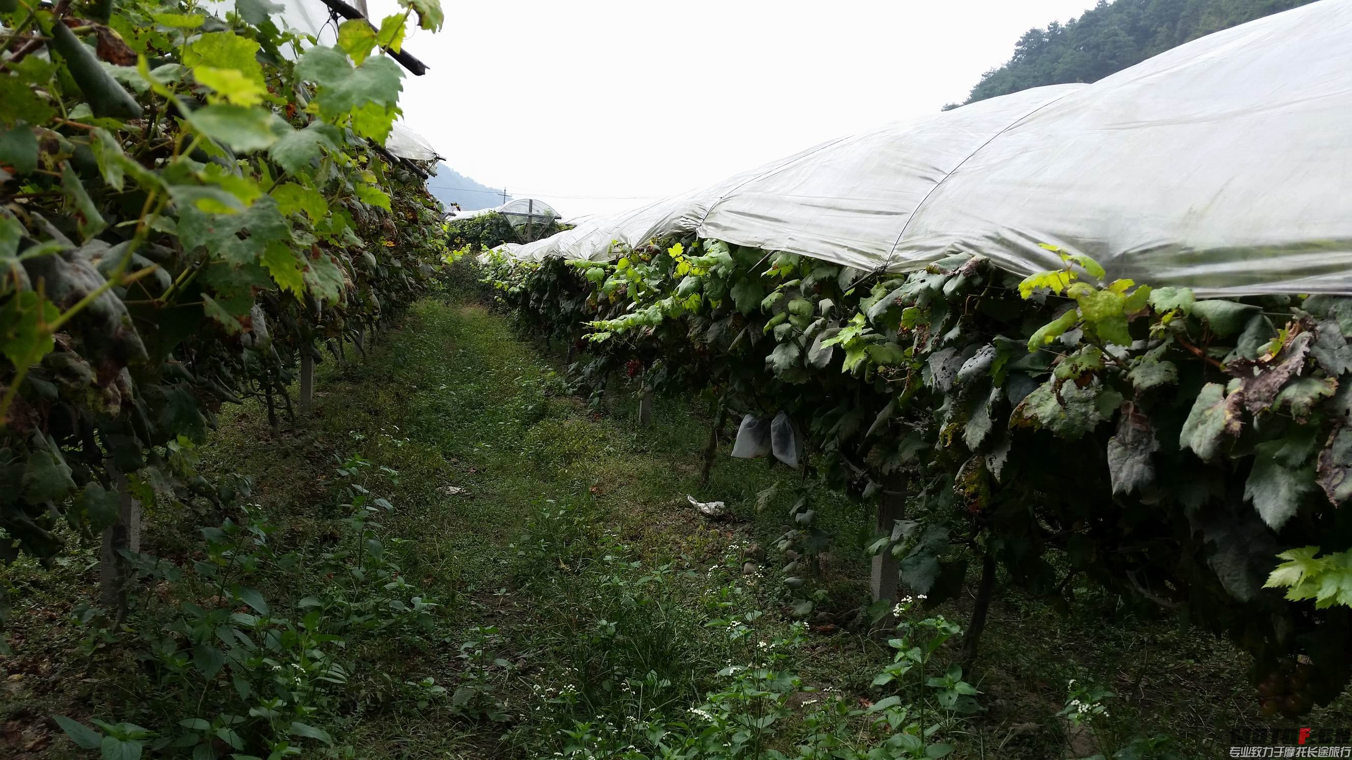 调整大小 20141003_110658.jpg