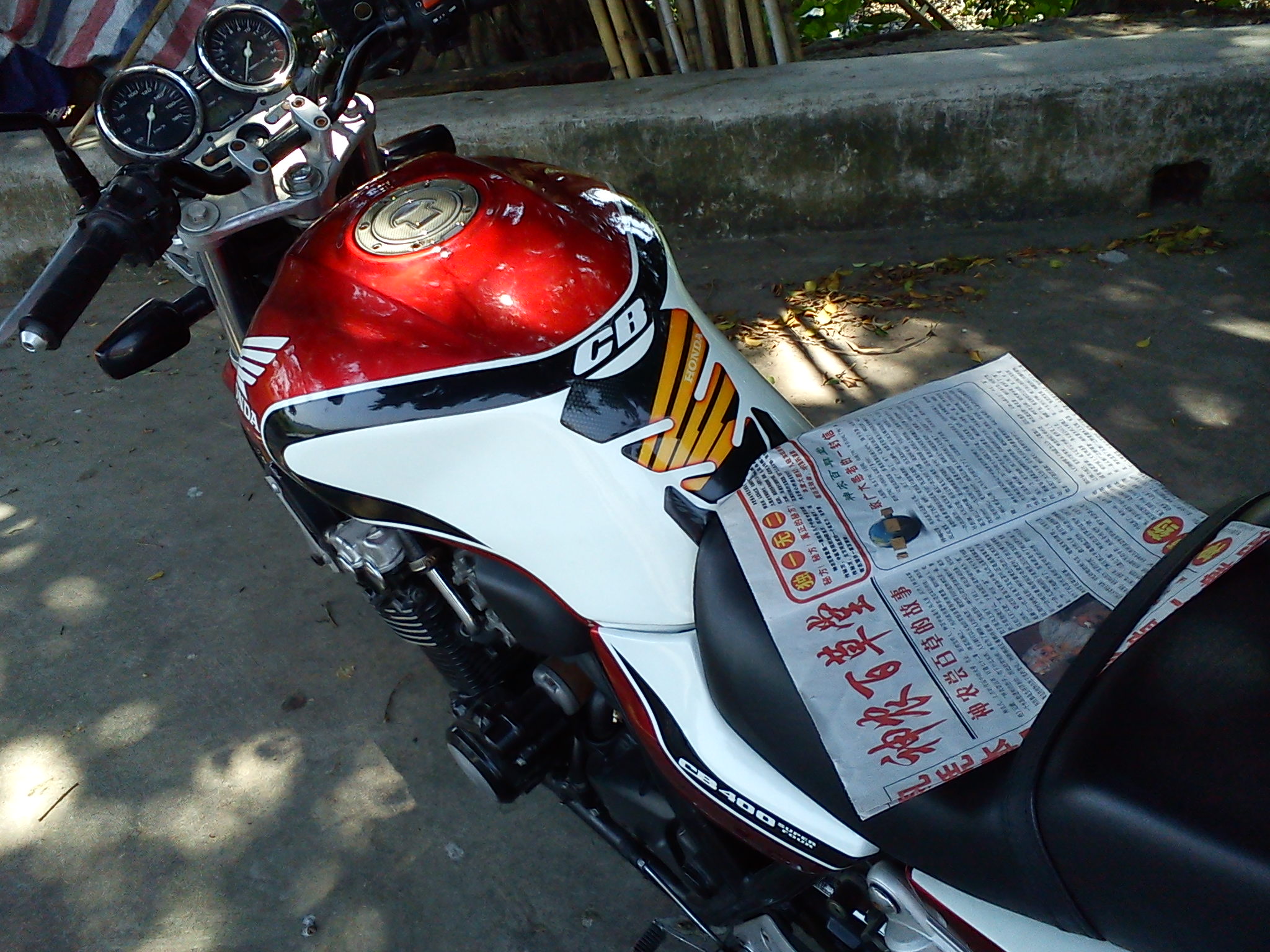 DSC00805.jpg