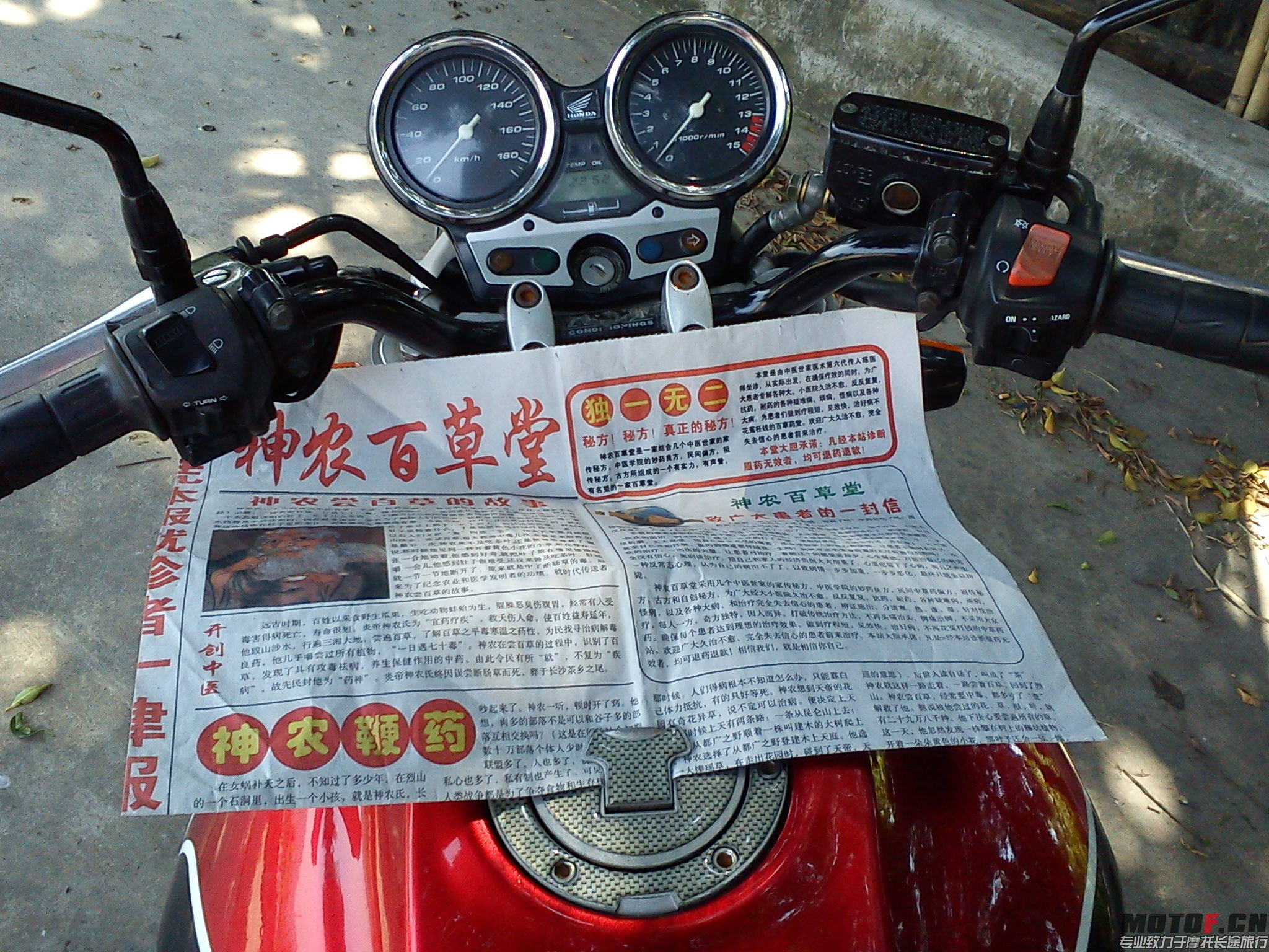 DSC00804.jpg