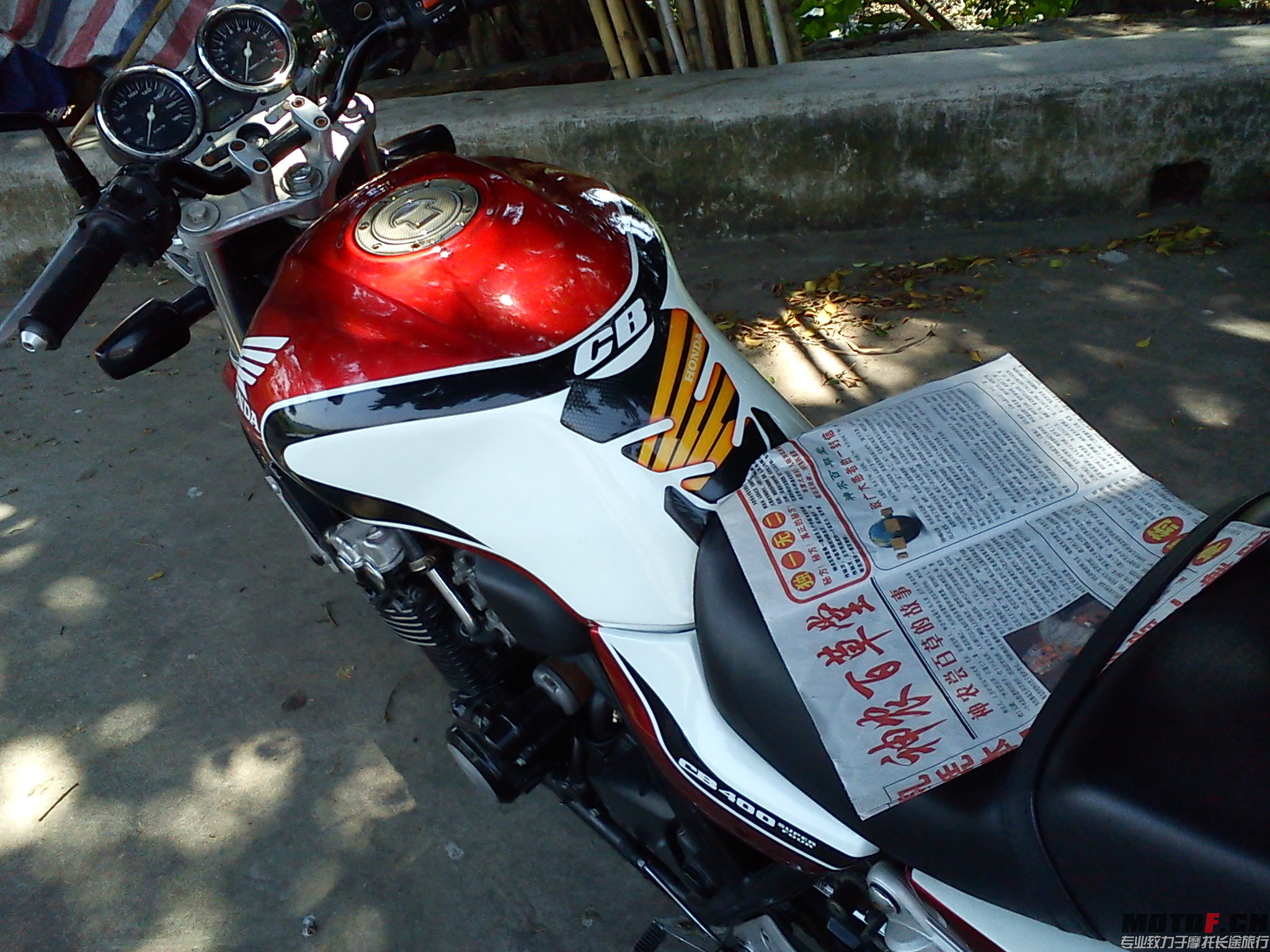 DSC00805.jpg