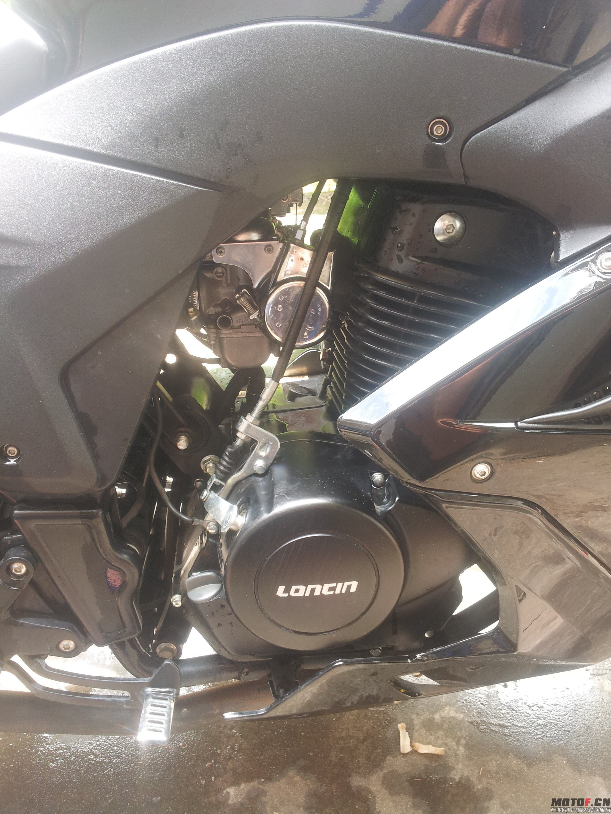 20140920_130559.jpg