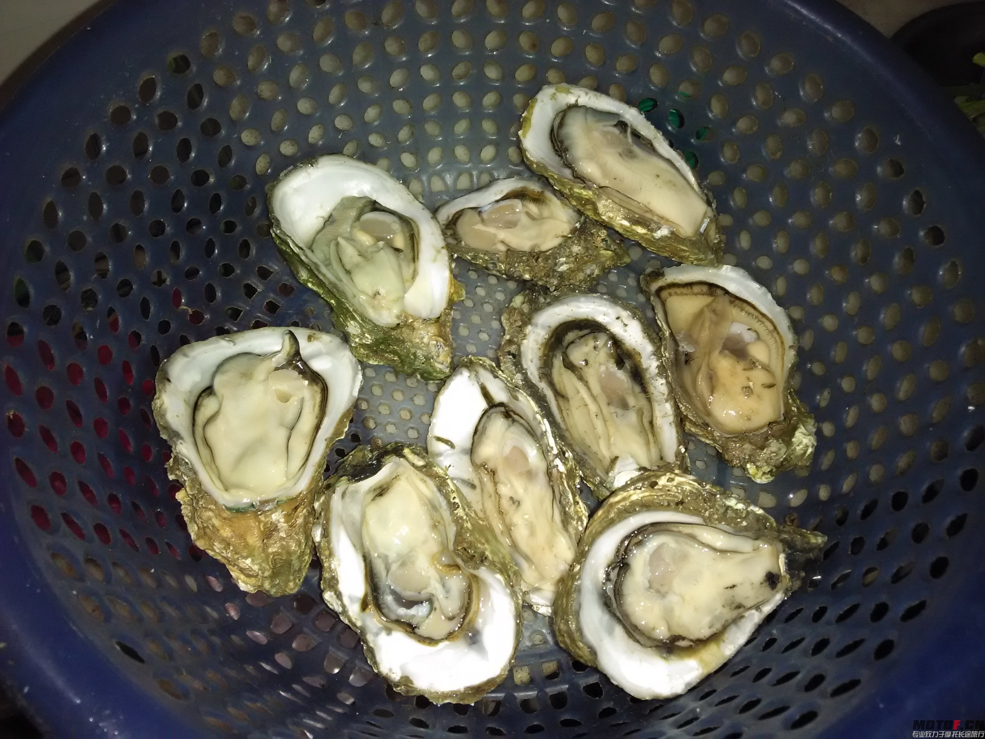 IMG_20141004_192756.jpg