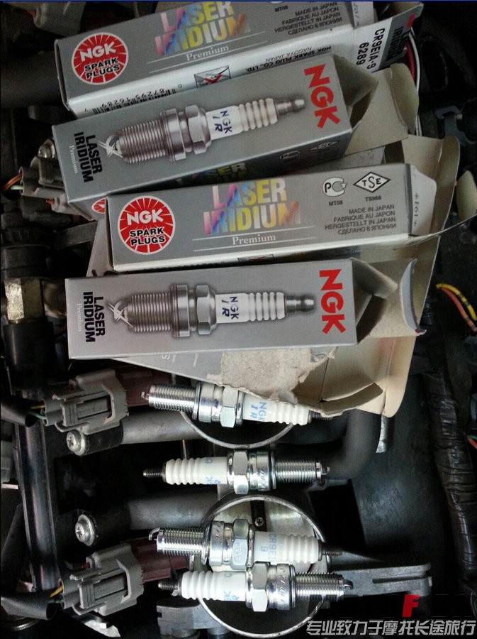 200801kvkpgi70i8pydibb.jpg.thumb.jpg