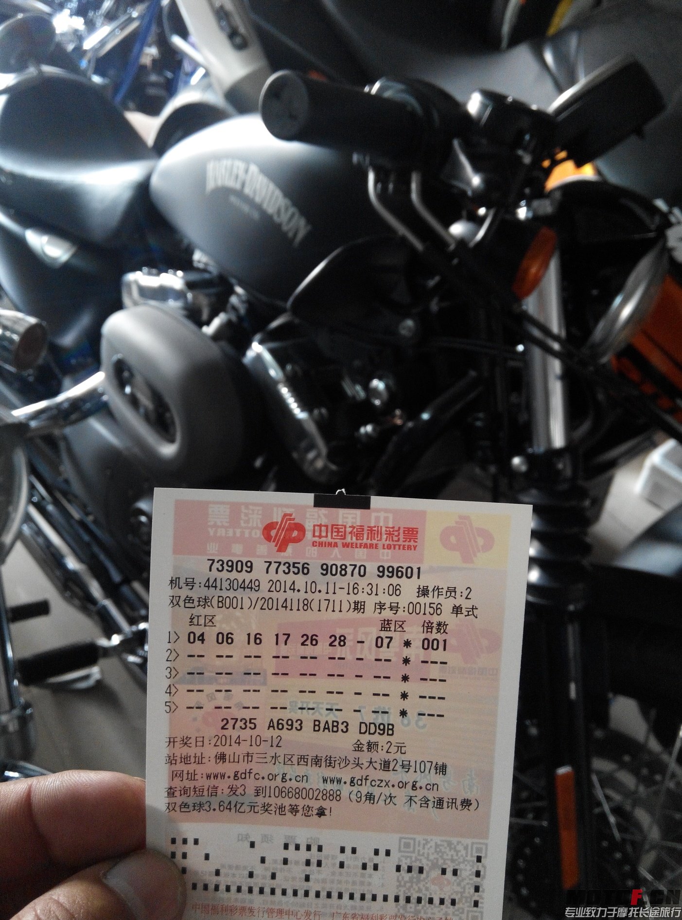 IMG_20141011_173545.JPG
