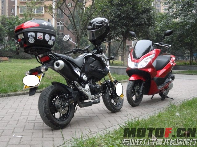 PCX150&amp;MSX125.JPG