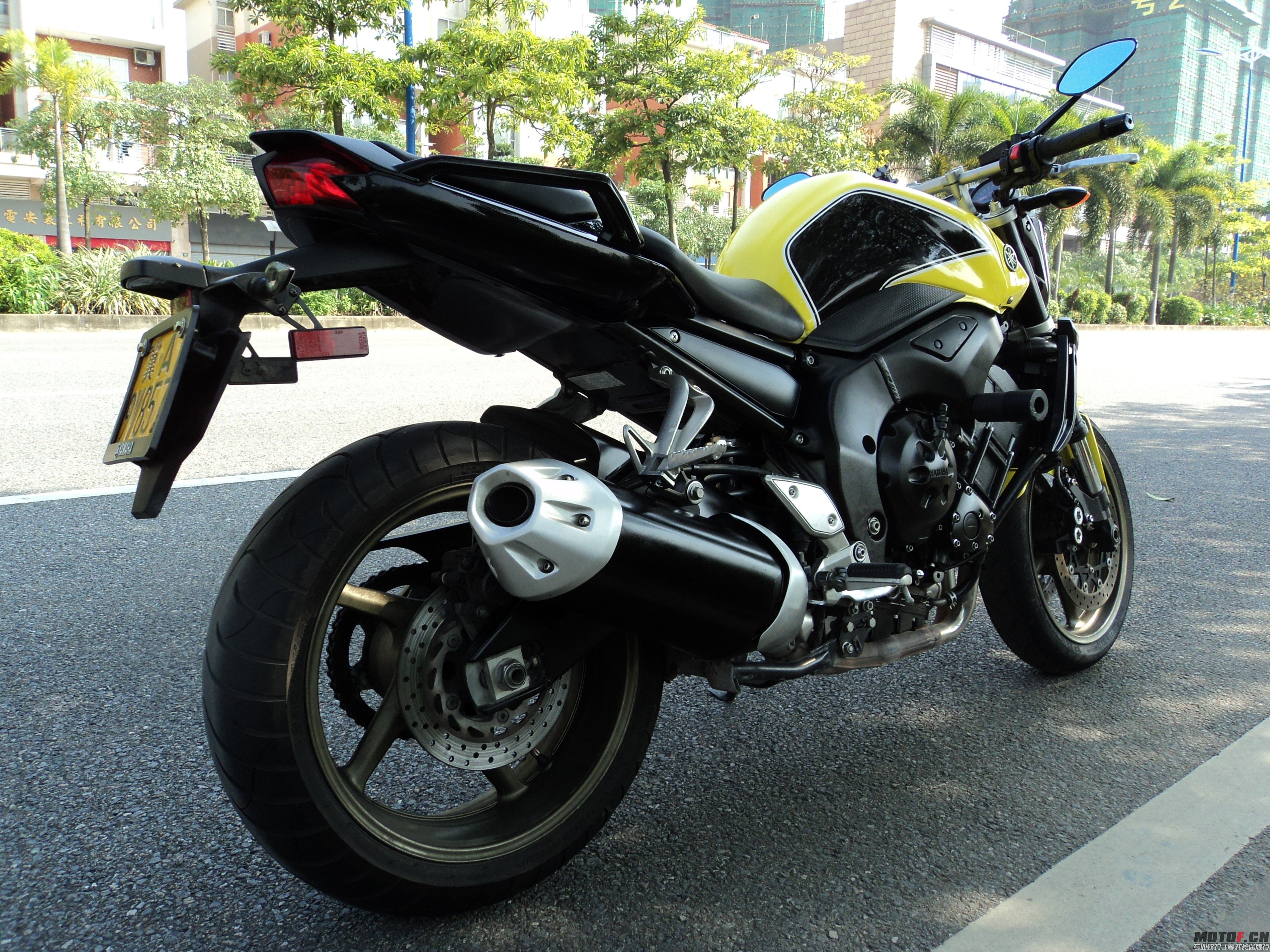DSC07637_conew1.jpg