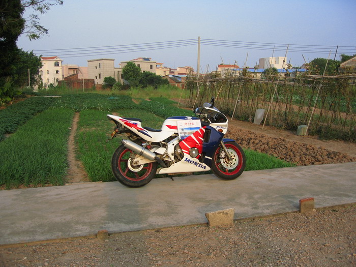 IMG_5282.JPG