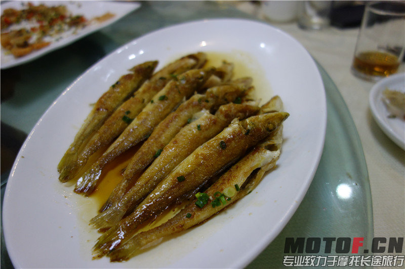 DSC01647.JPG