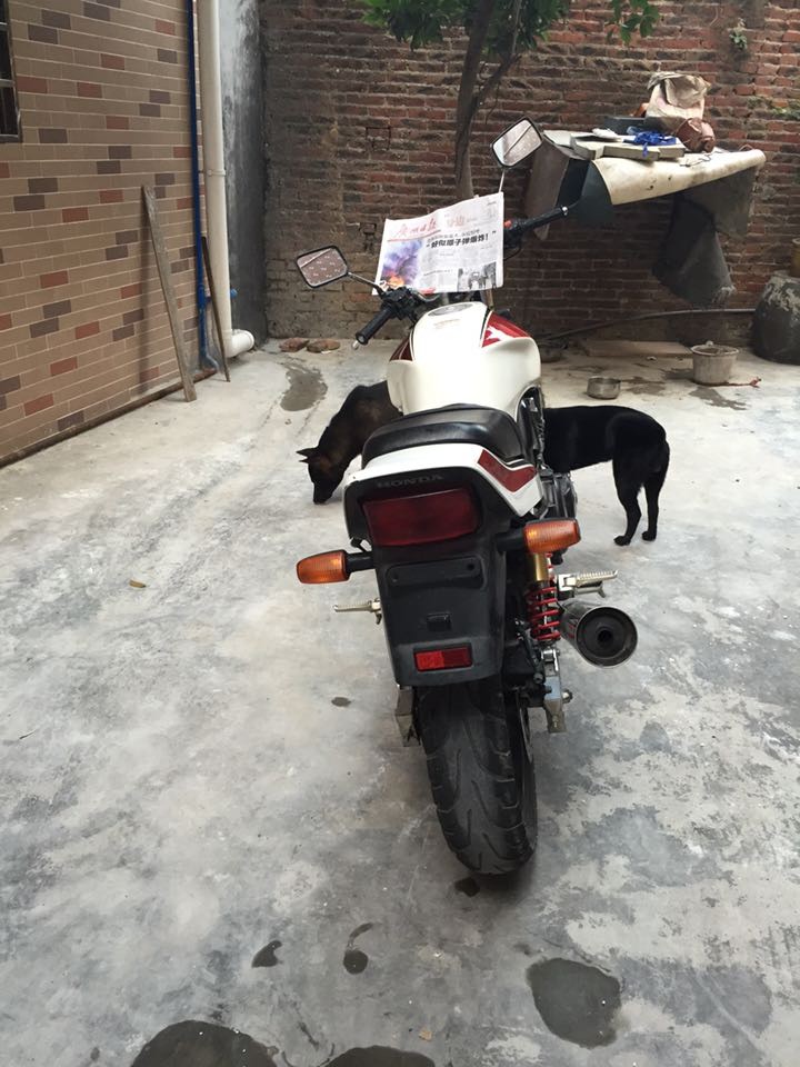 后3456.jpg