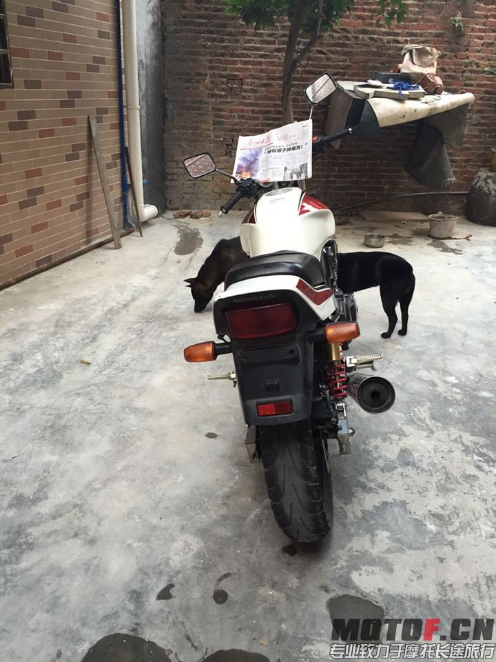 后3456.jpg
