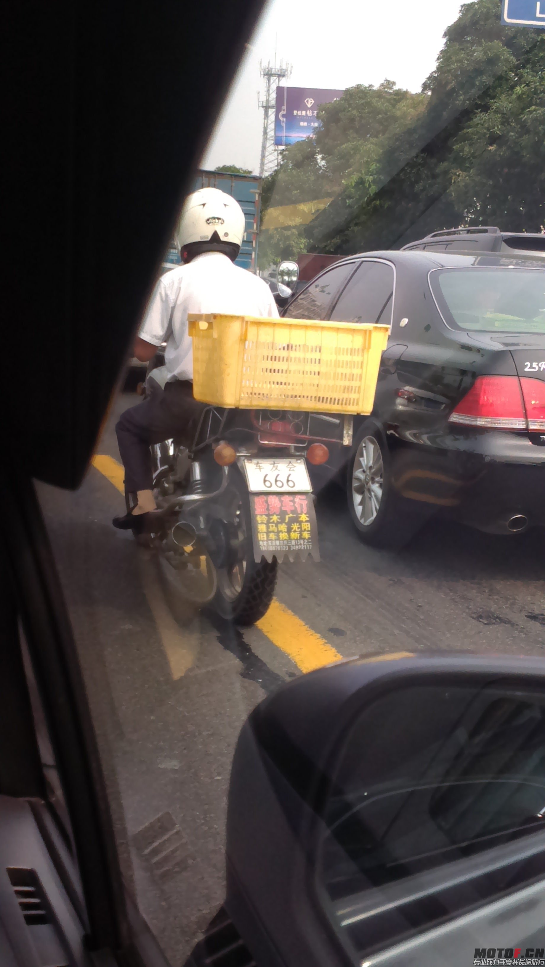 IMAG0974.jpg