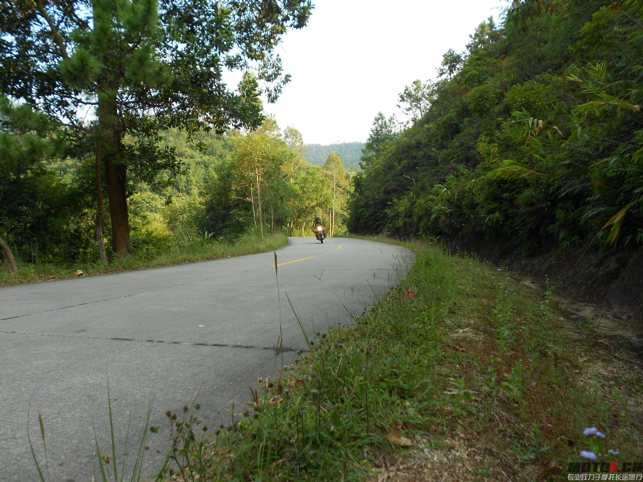 DSCN0376.JPG