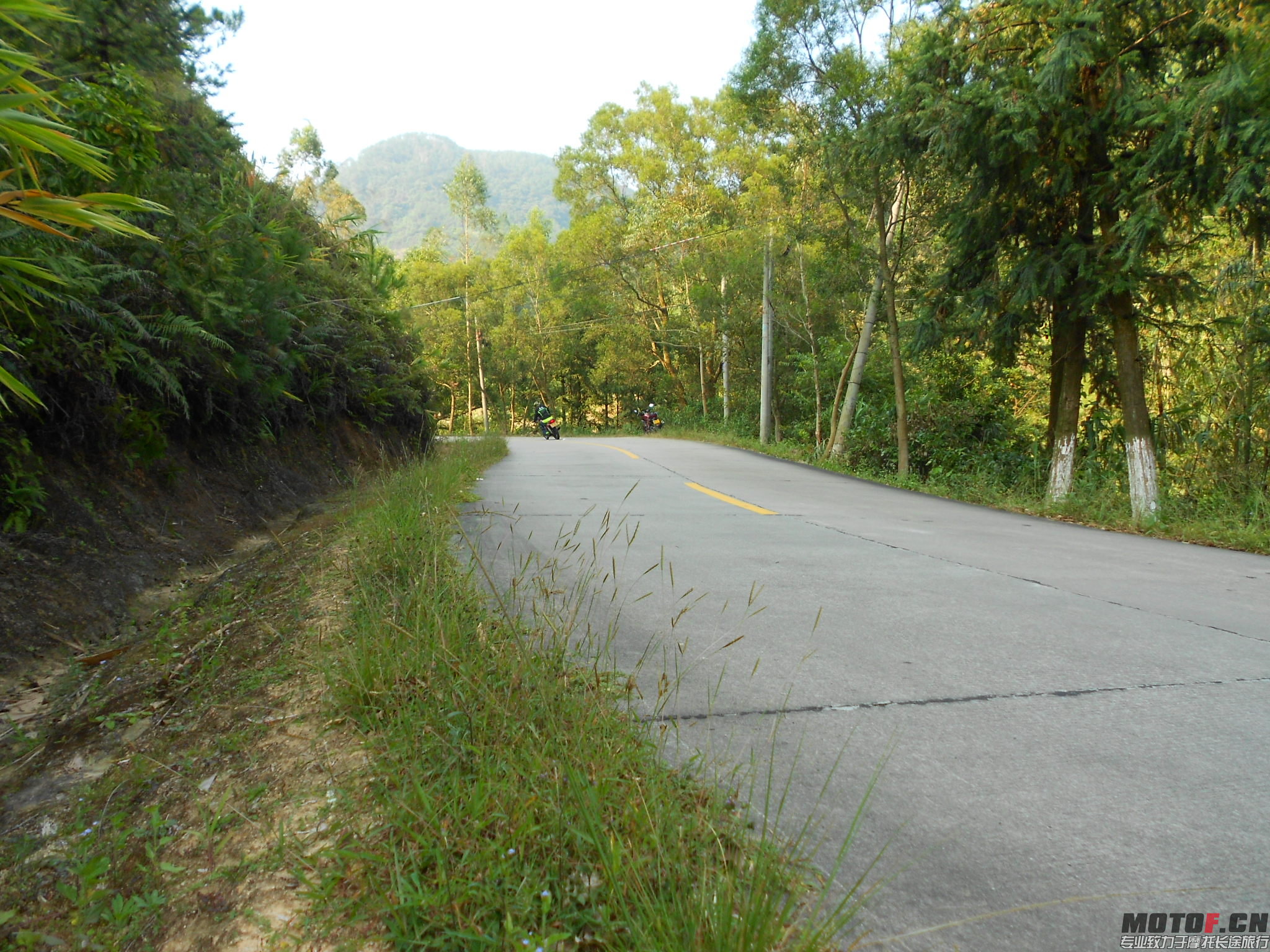DSCN0377.JPG