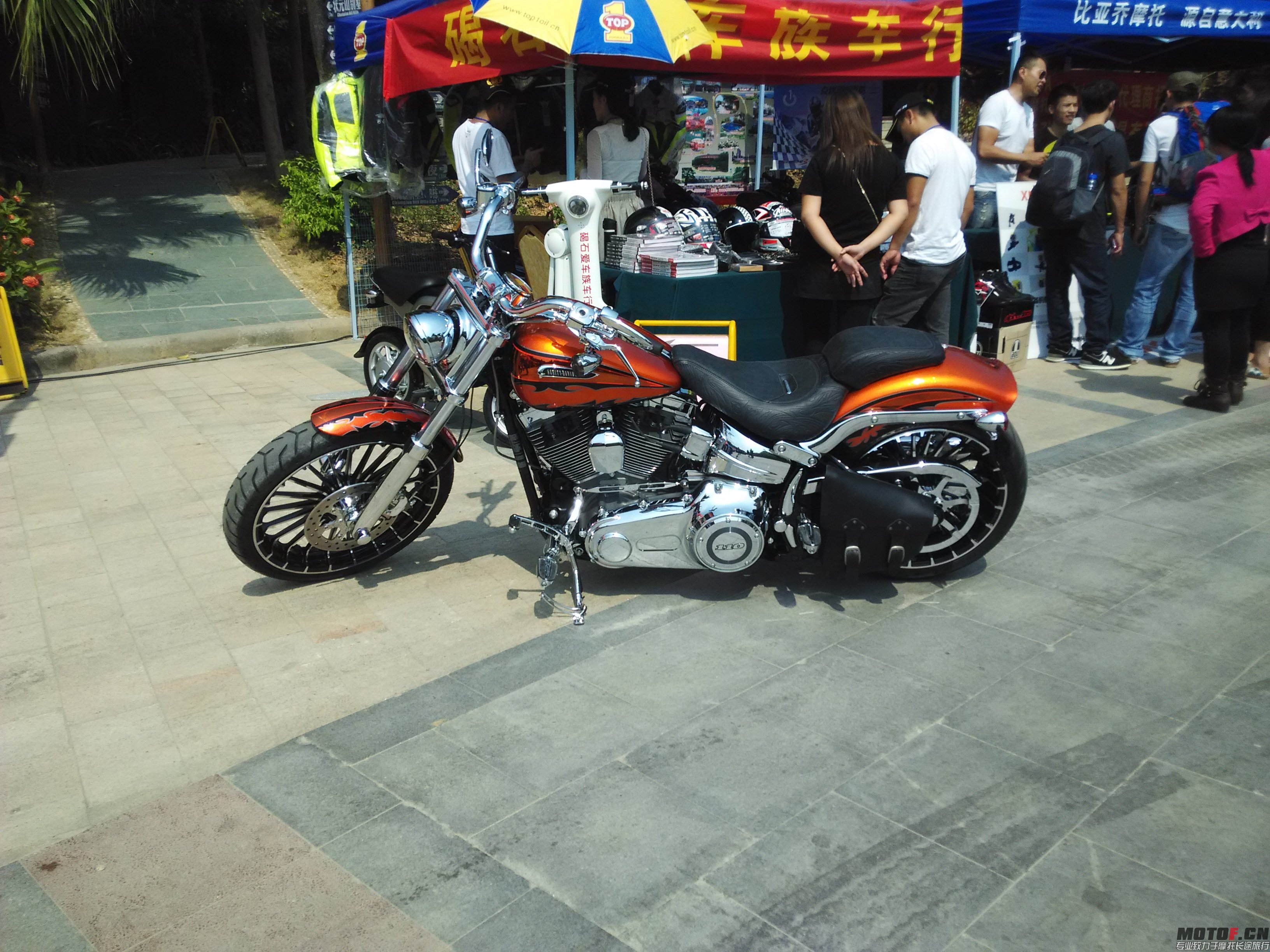 IMG_20141018_113937.jpg