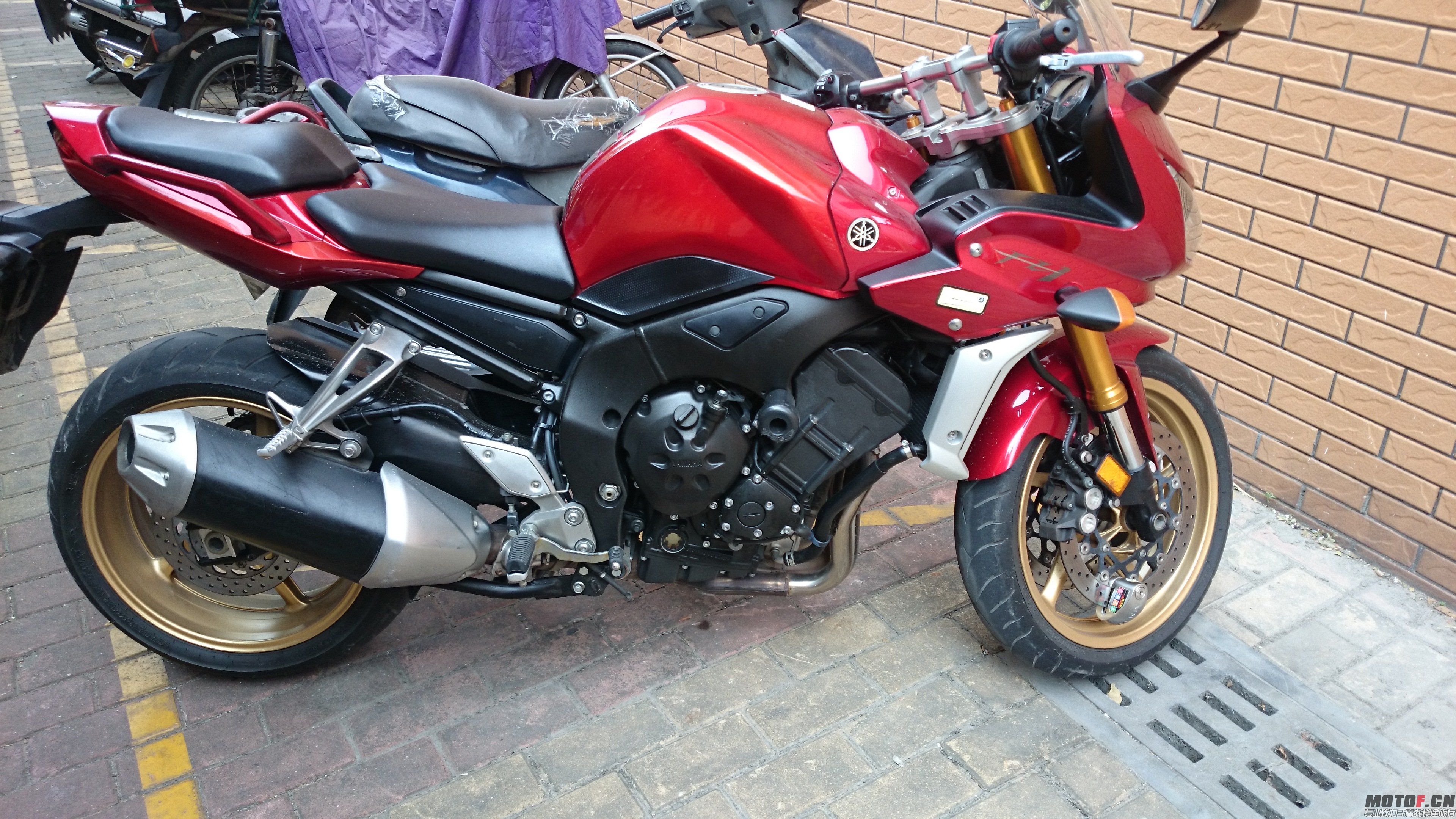 DSC_0351.JPG
