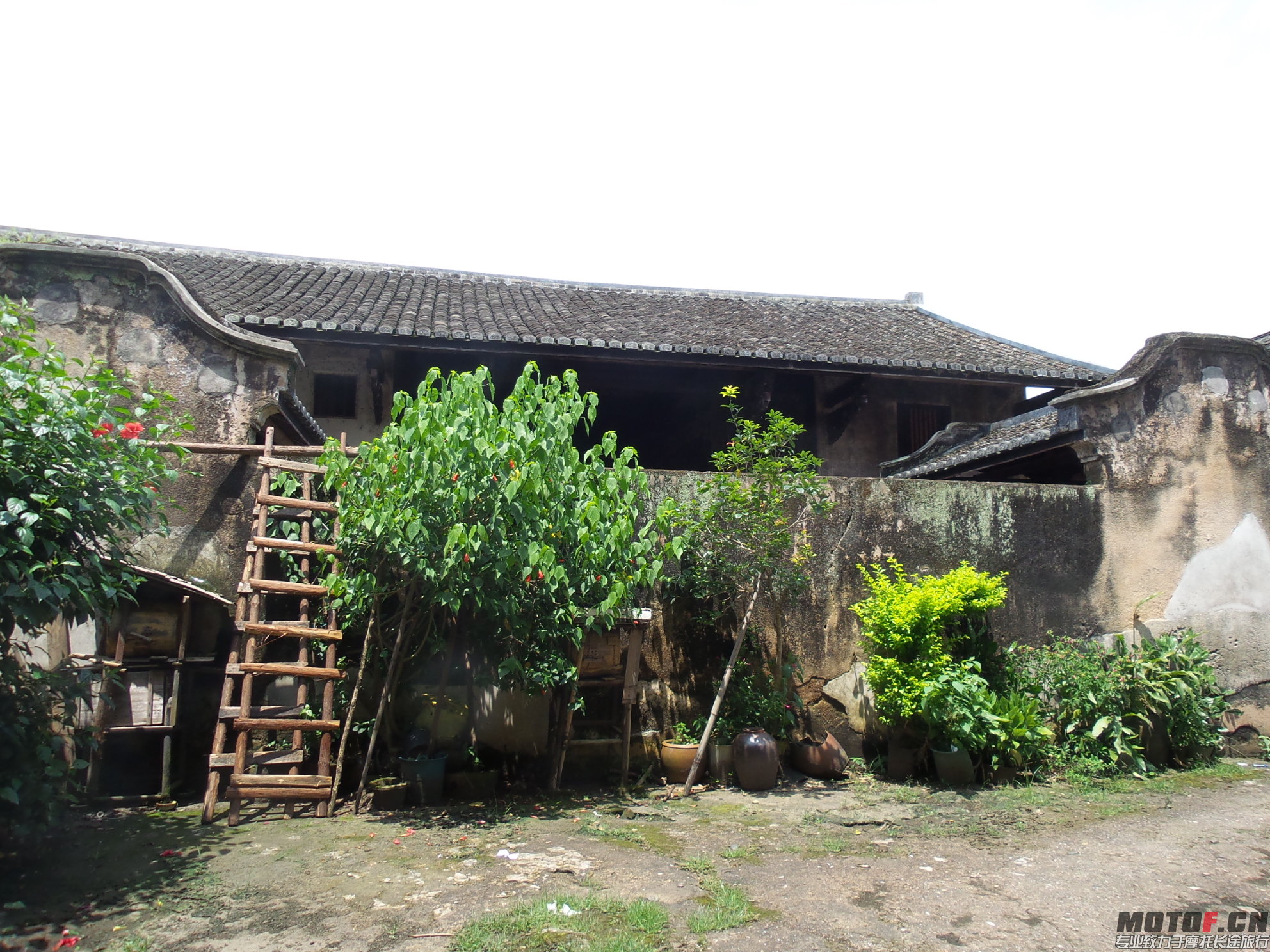 20140629_110814.jpg