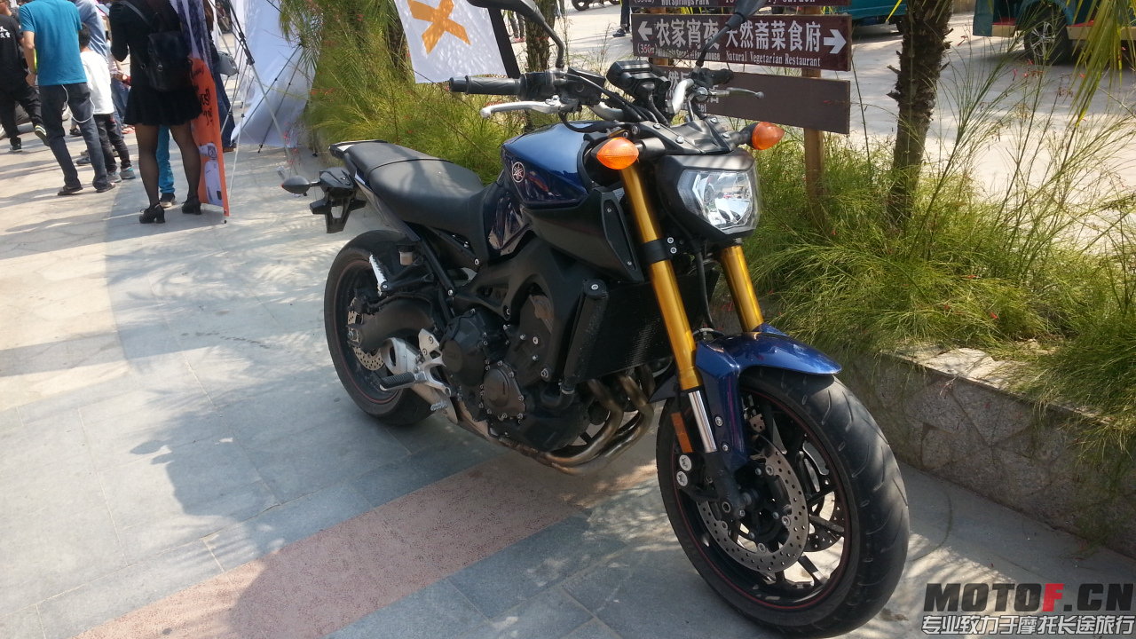 20141018_103954.jpg