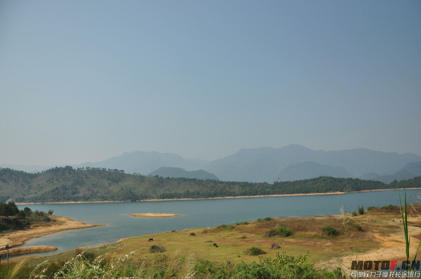 DSC_0081.jpg