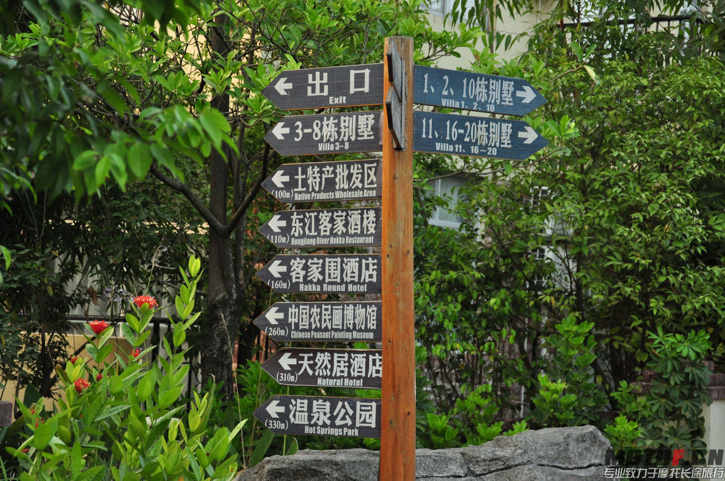 DSC_0117.jpg