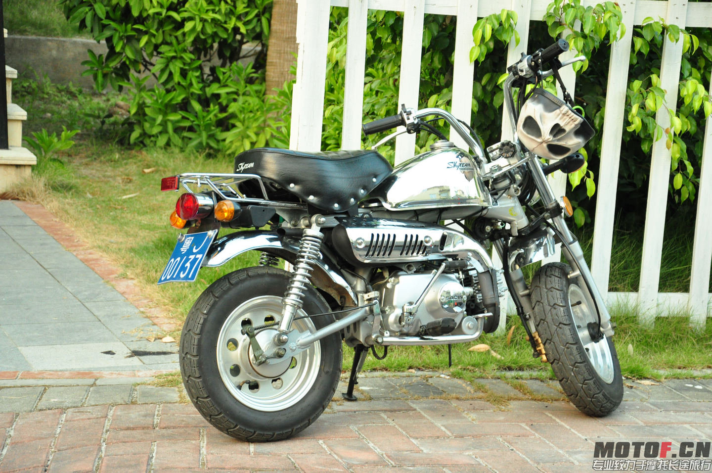 DSC_0127.jpg