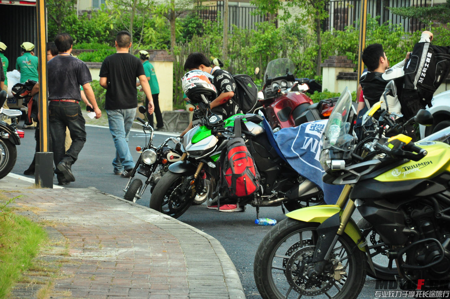 DSC_0128.jpg