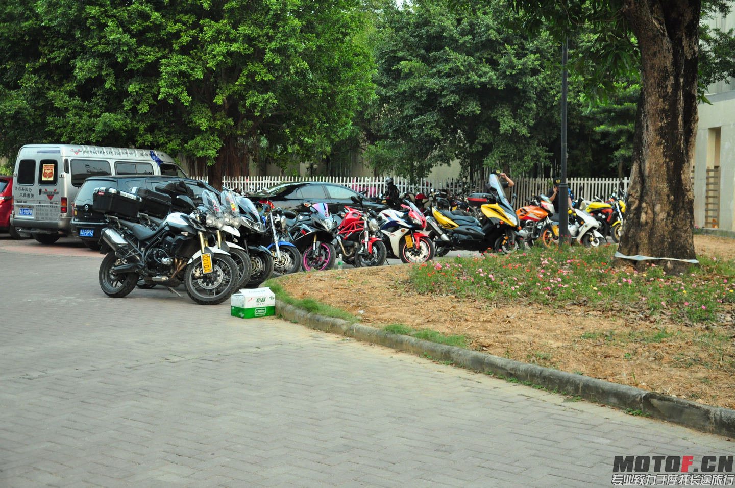 DSC_0130.jpg