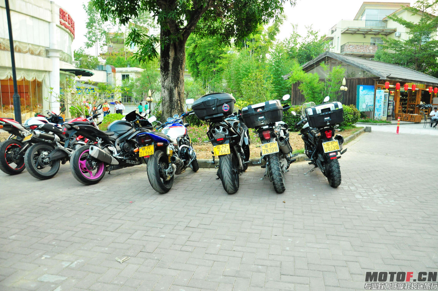 DSC_0132.jpg