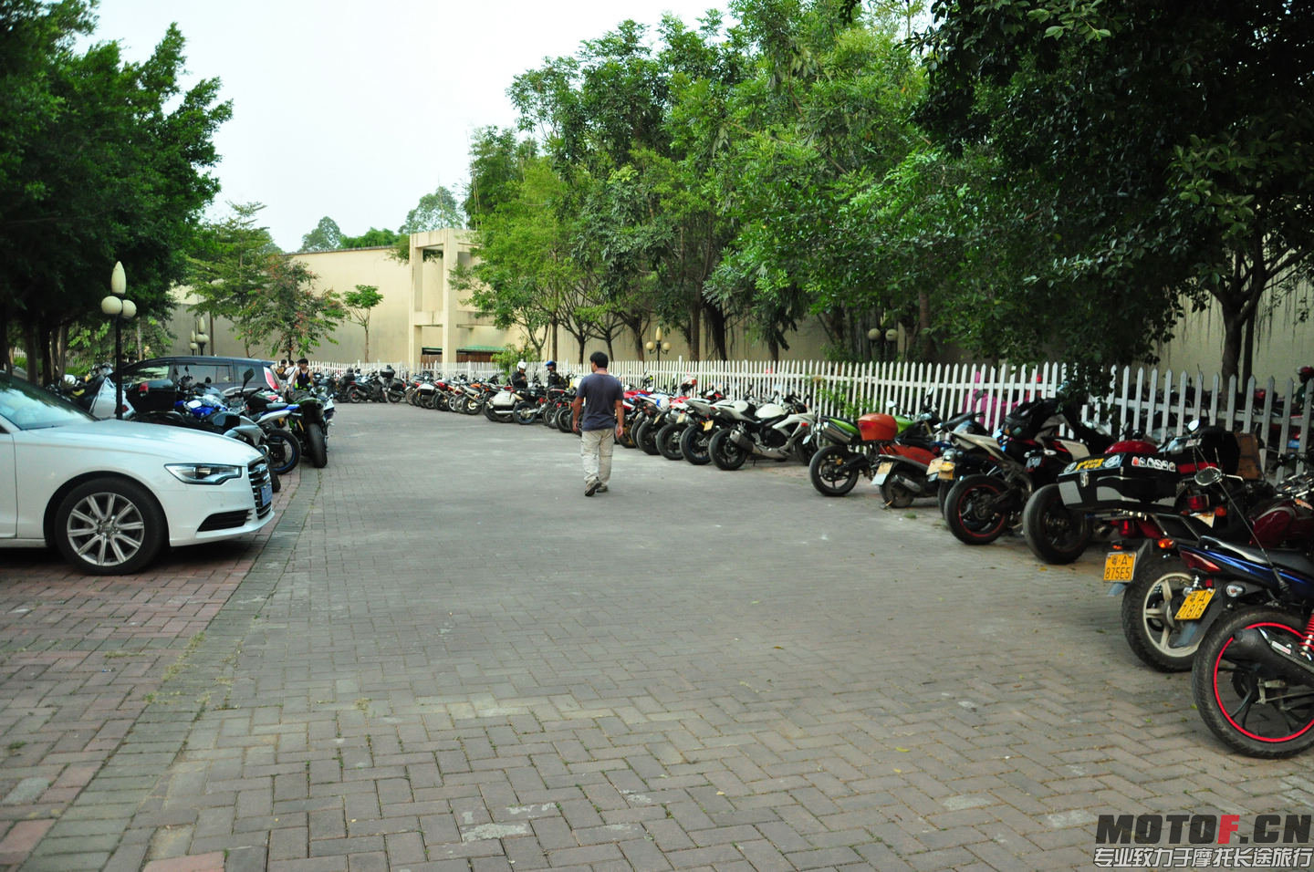 DSC_0134.jpg