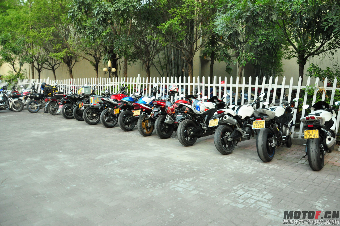 DSC_0137.jpg