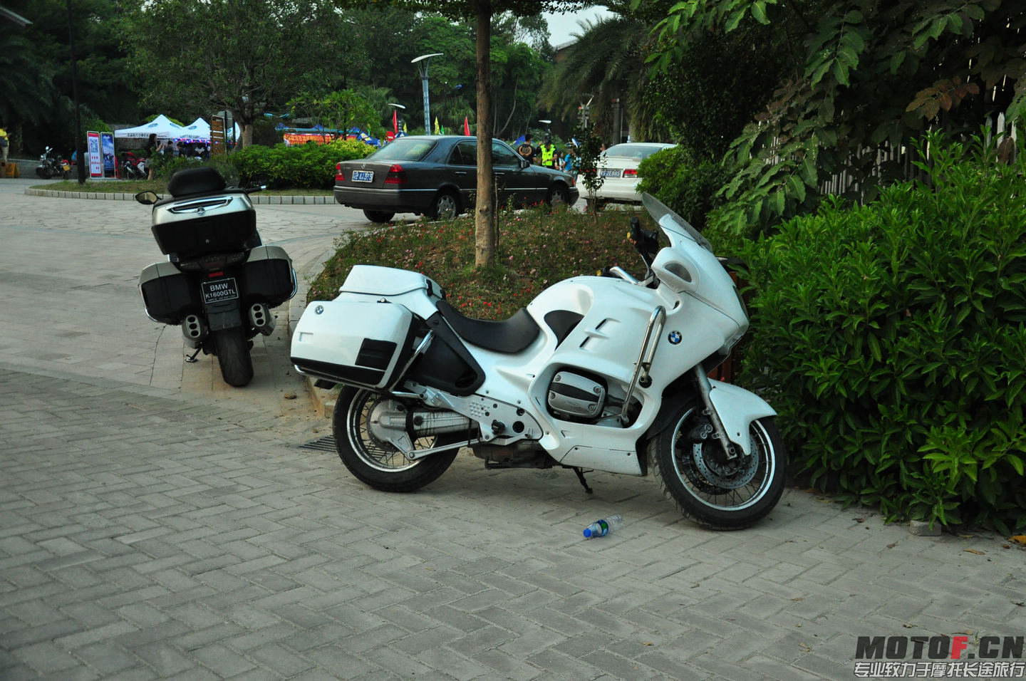 DSC_0139.jpg