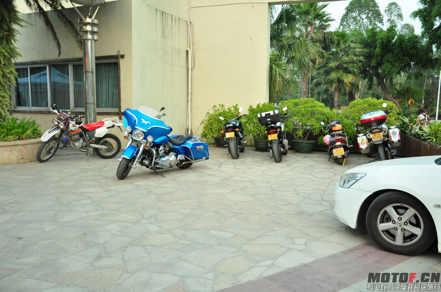 DSC_0142.jpg