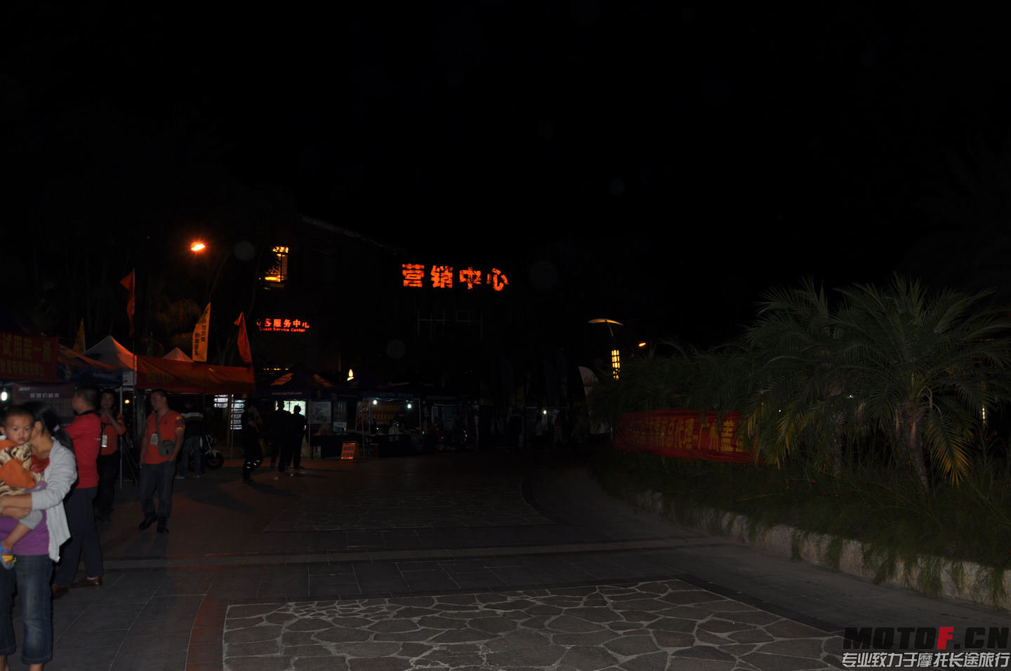 DSC_0181.jpg