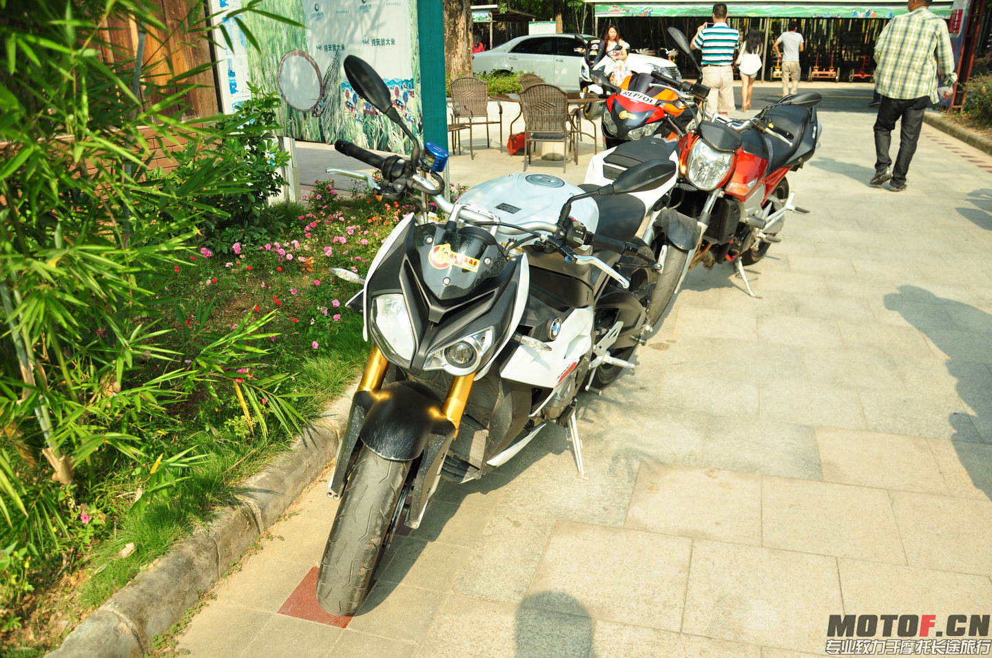 DSC_0195.jpg