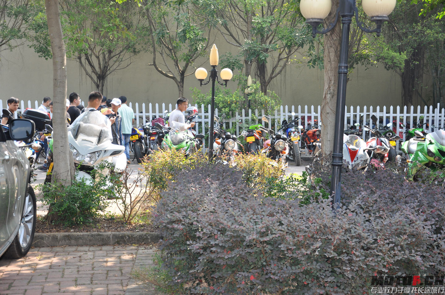 DSC_0225.jpg