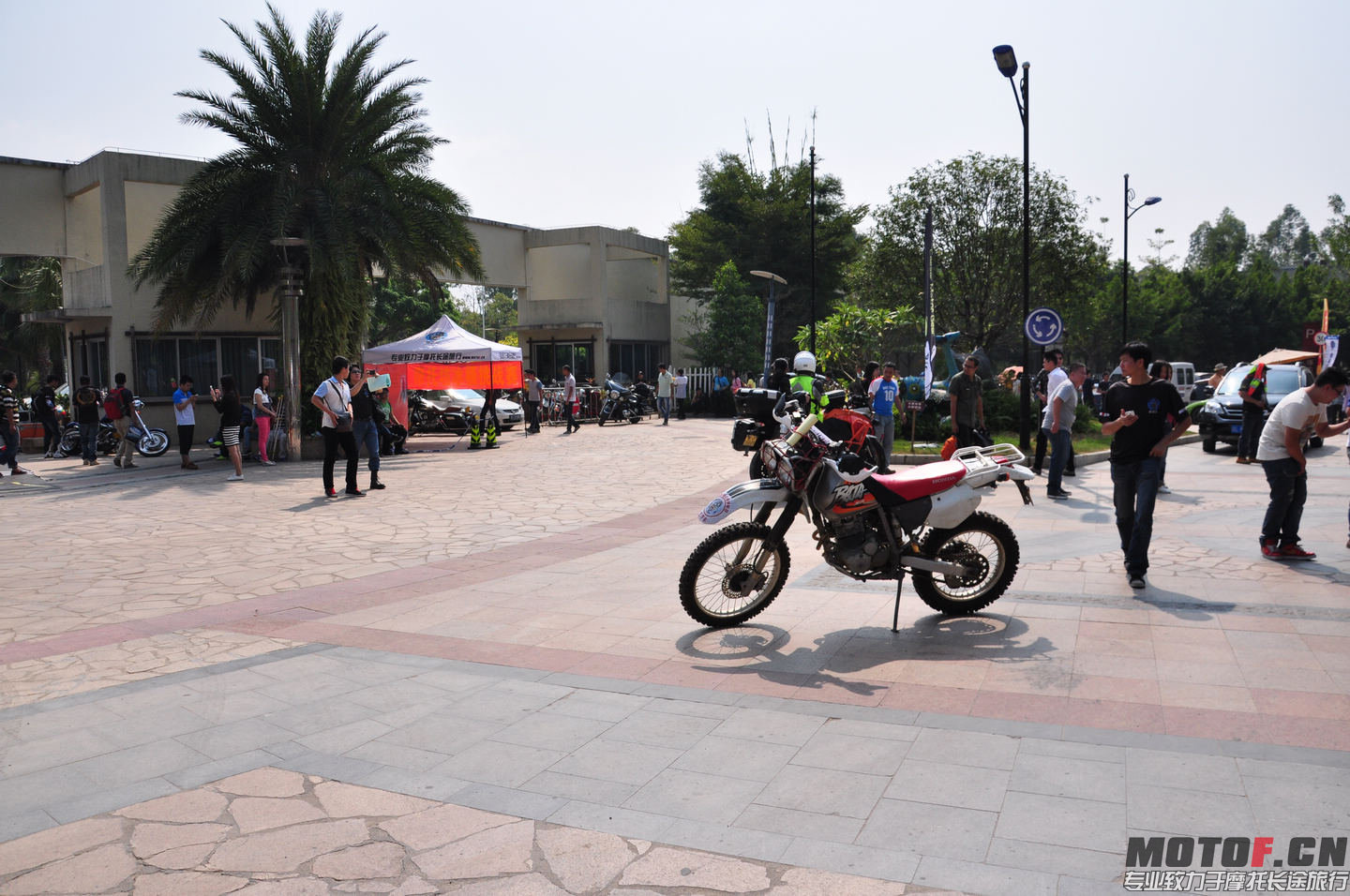DSC_0240.jpg