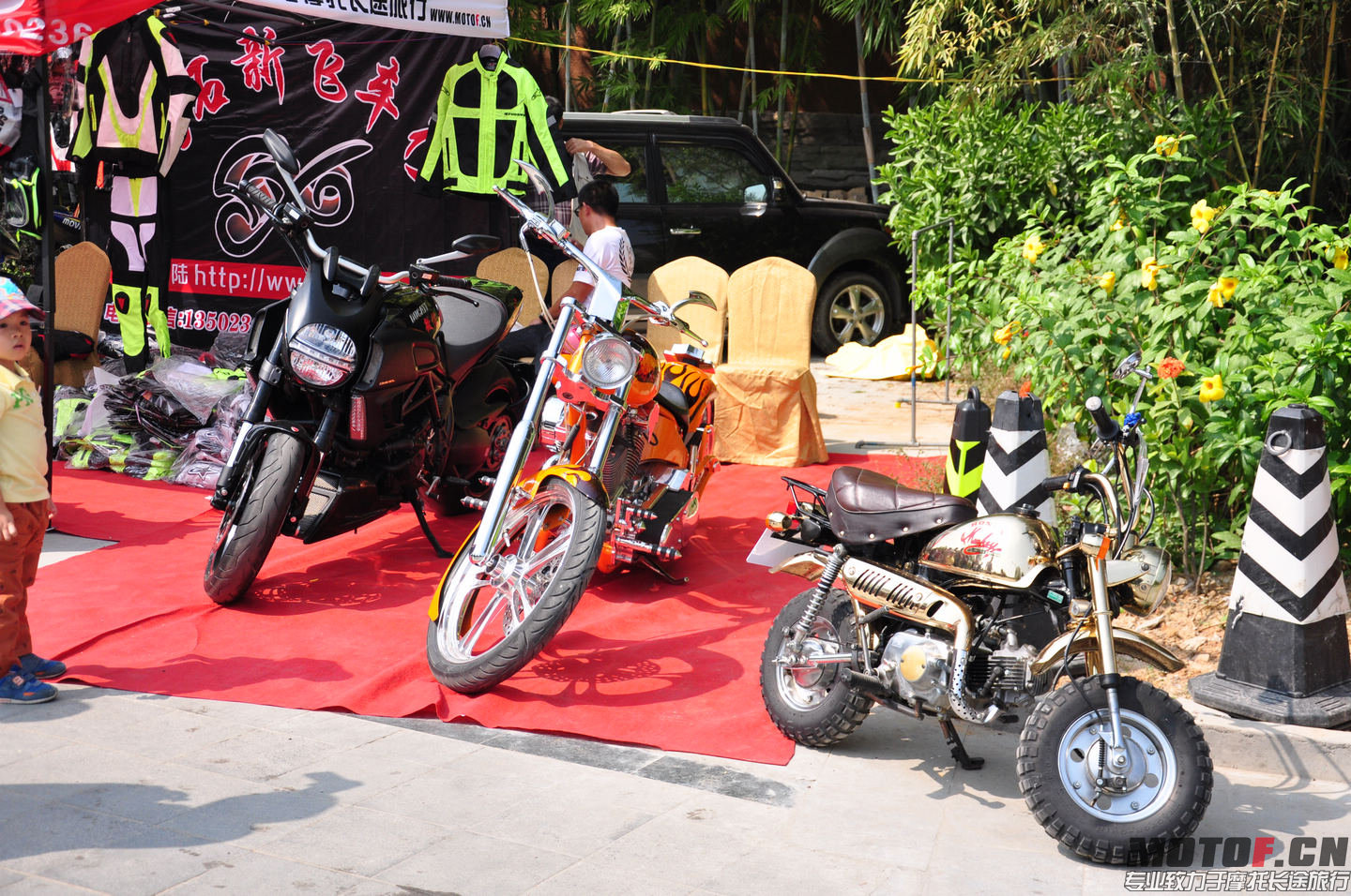 DSC_0251.jpg